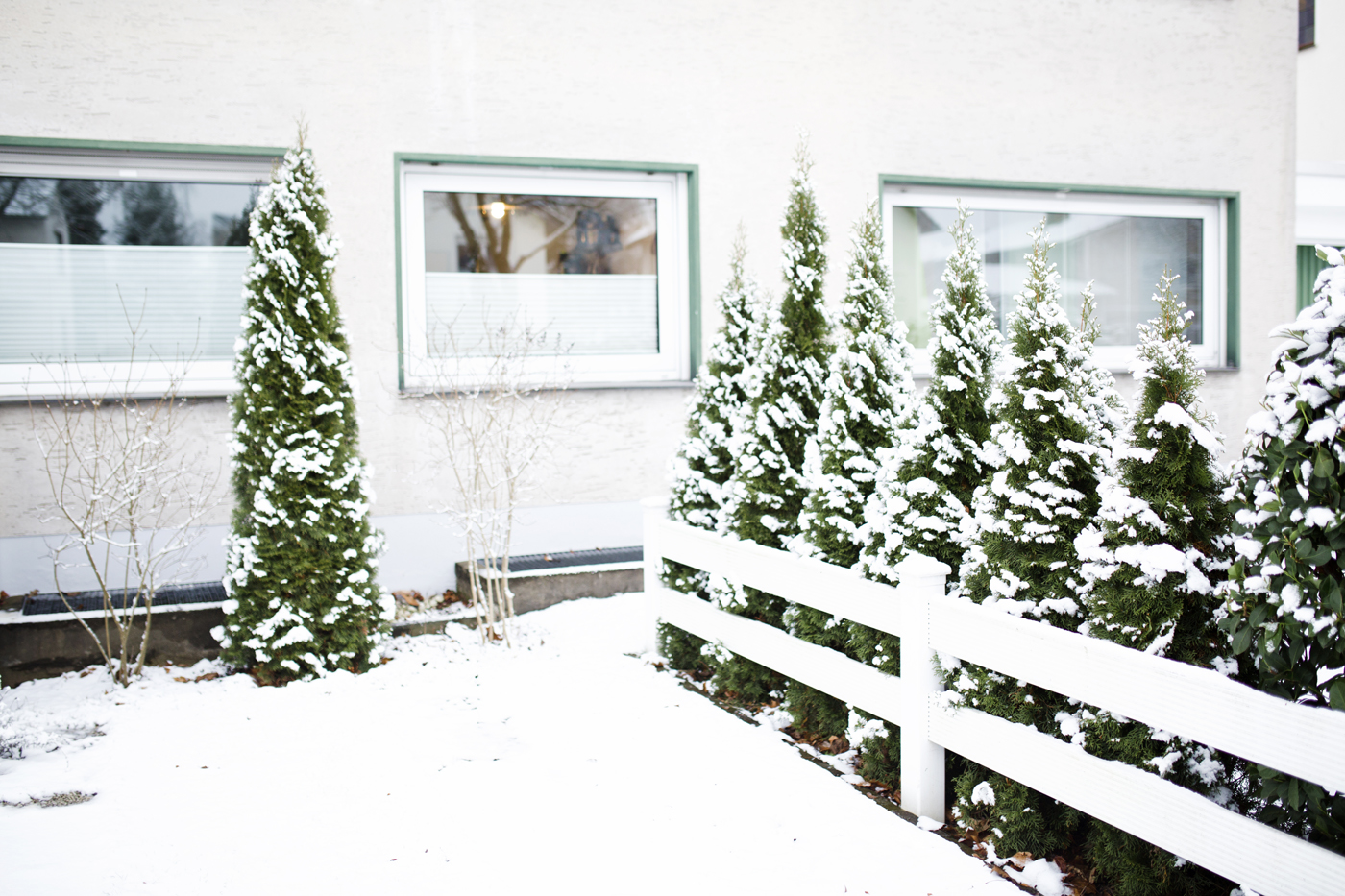 bruna-guerra-photography_home_03