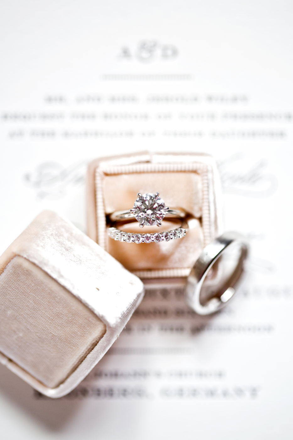 Bruna Guerra Photography_Amanda&Daniel_German Castle_07