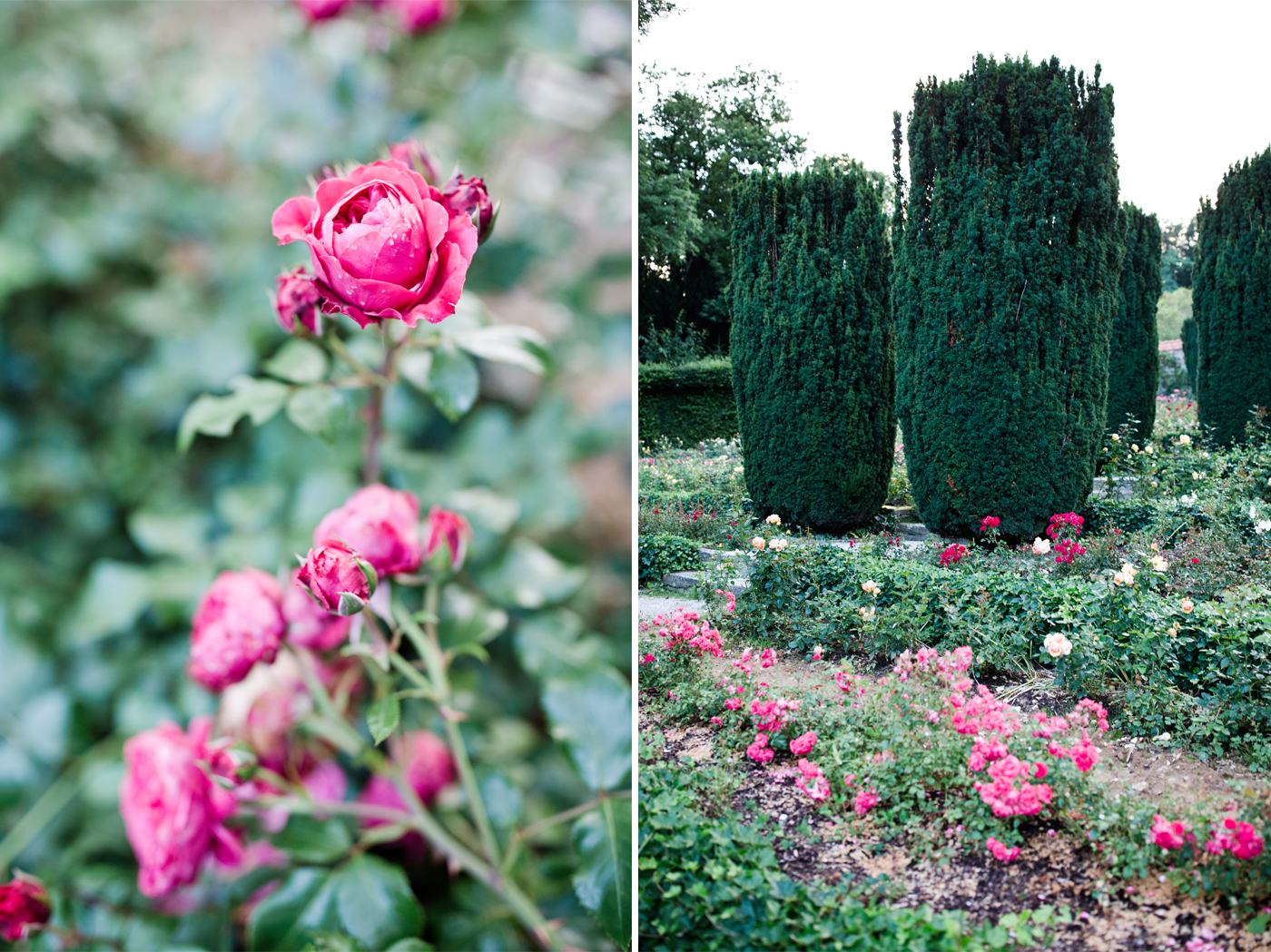 Bruna Guerra Photography_Amanda&Daniel_German Castle_47